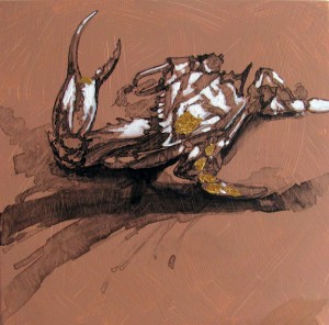 crab1