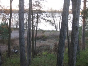 img_1481